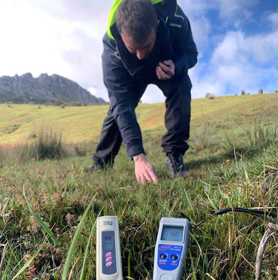 Expediciones en musgos sphagnum de turbera 