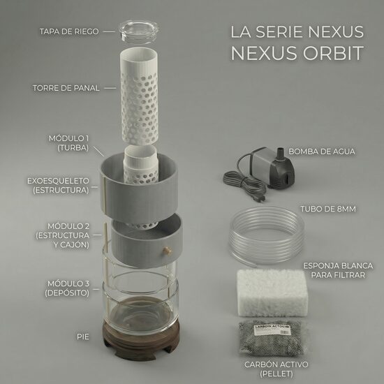 NEXUS ORBIT