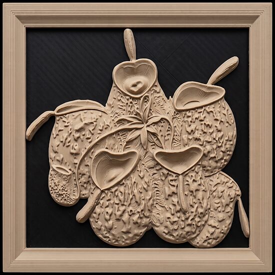 Carnívora Collection: Nephentes Ampullaria