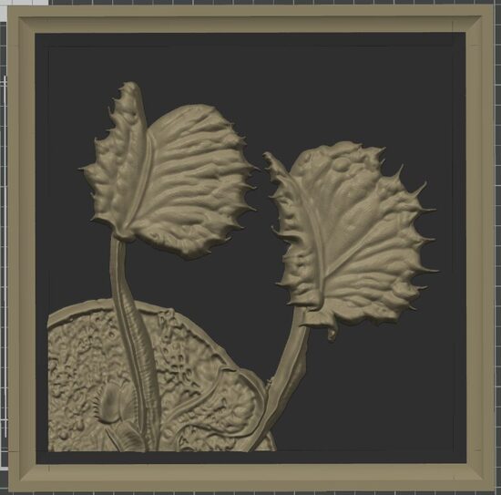 Carnívora Collection: Dionaea muscipula AR Werewolf