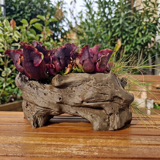 ``Lost Log´´ Organic Plant Pot