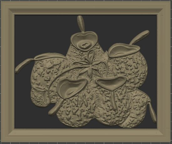 Carnívora Collection: Nephentes Ampullaria