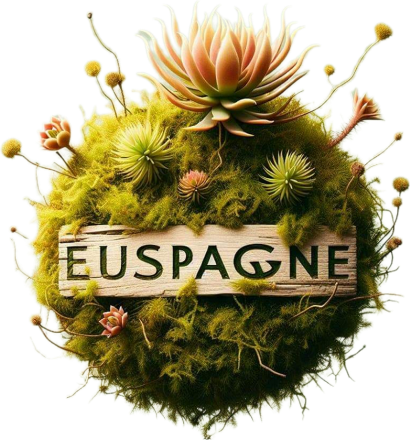 EUSPAGNE 